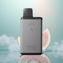 Adalya AD 10000 Sininen Meloni Space Gray USB-C