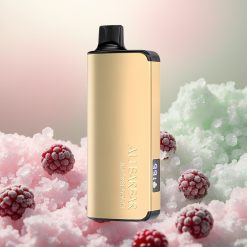 Alibarbar Ingot 9000 Mustikka-Jää 22ml 2350mAh